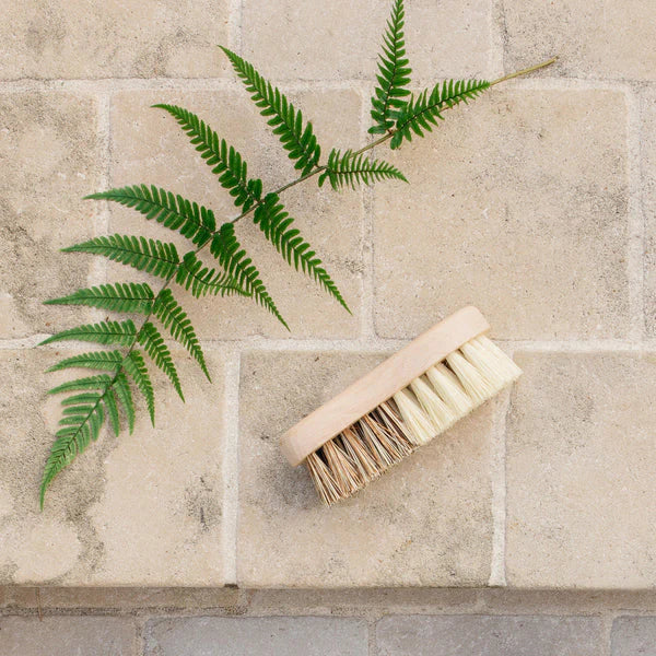 Fer à Cheval Household Brush