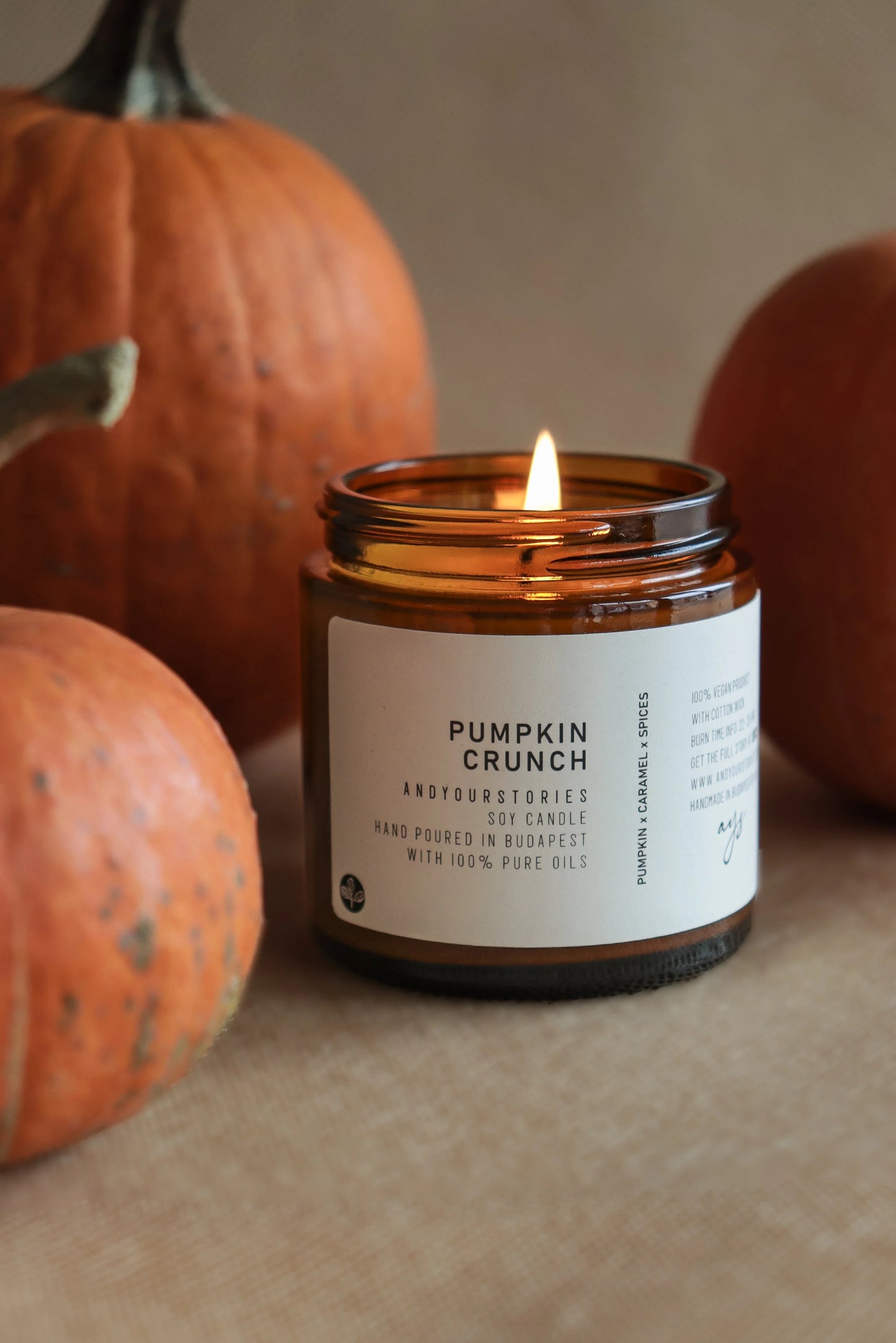 Andyourstories Pumpkin Crunch Soy Candle 100gr