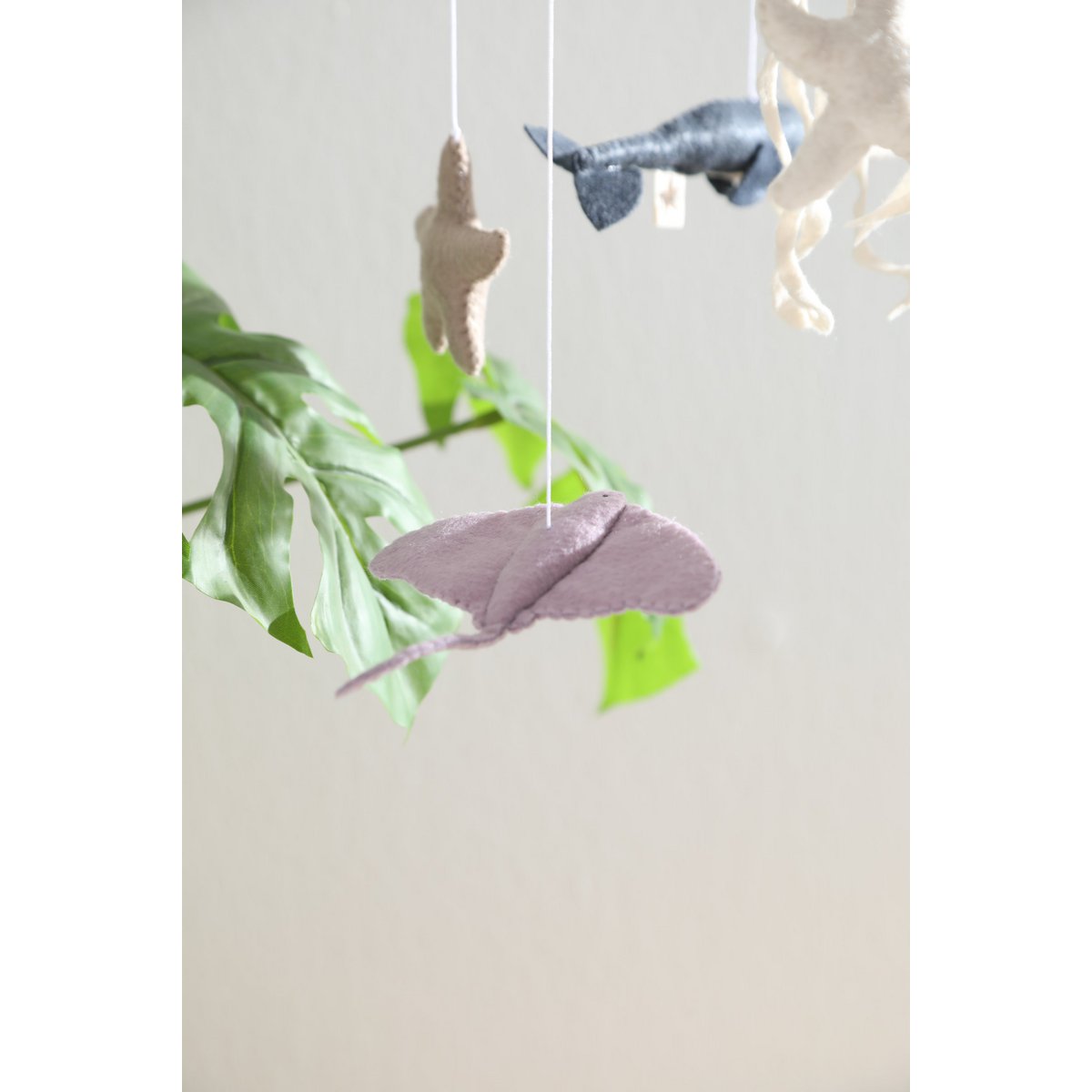 Decorative hanging plant with purple leaves and green stems on a white background