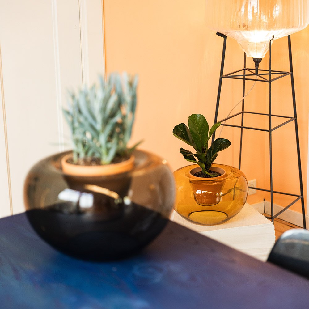 Two potted plants on a table with a lamp in the background