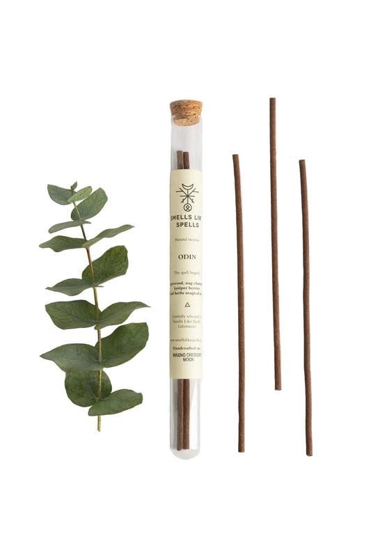 Incense sticks with a tube labeled 'Wishes & Spells' and a sprig of eucalyptus on a white background