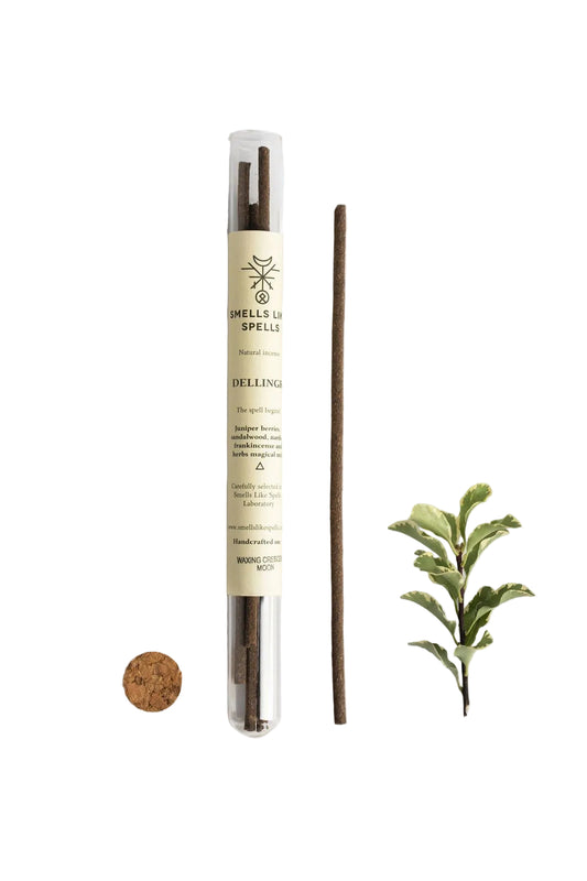 Spells incense stick with packaging and plant on a white background