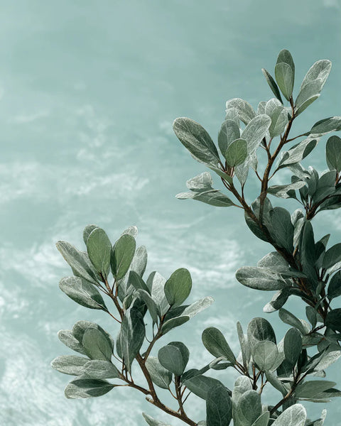 Laay Σπρέυ Χώρου Υψηλής Έντασης Ocean Dust 100ml