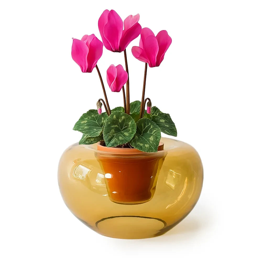 Pink flowers in a yellow glass vase on a white background