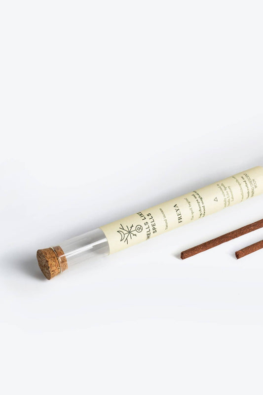 Cinnamon sticks in a clear tube with cork lid on a white background