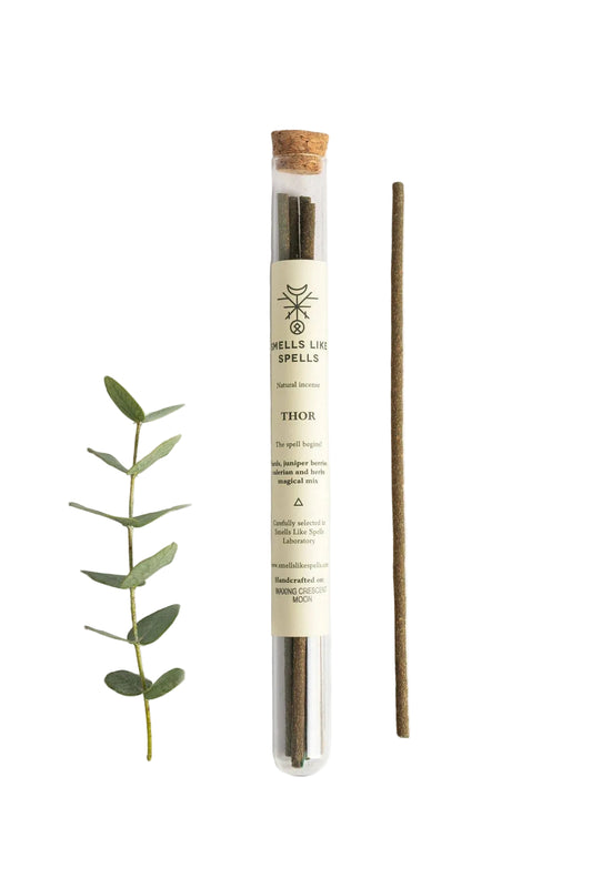Incense stick with packaging labeled 'Wells Lav Spells' on a white background