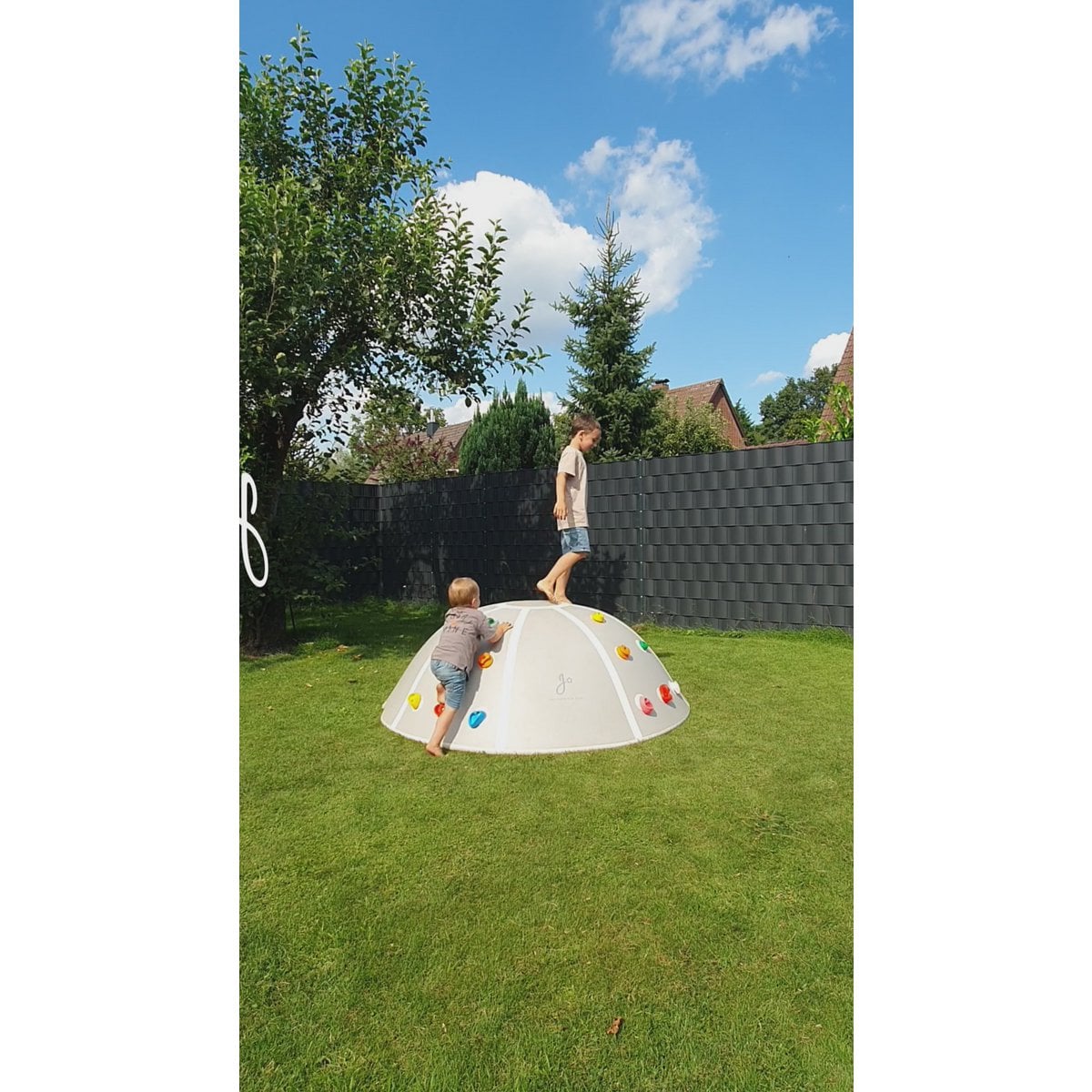 Two children playing on a playground dome in a grassy area with trees and a fence in the background.