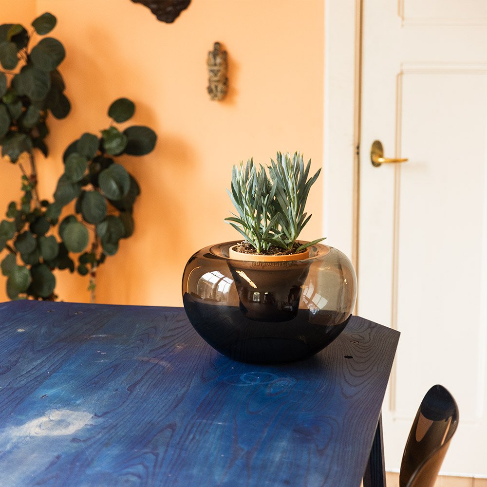 Decorative pot with a small plant on a blue surface, with a blurred background
